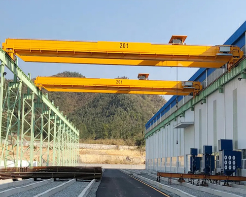 European FEM Standard Double Girder Crane Efficient Lifting Modular Structural Design