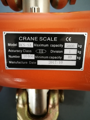 50KG Electronic Crane Scale With Digital Weighing Hook Balance